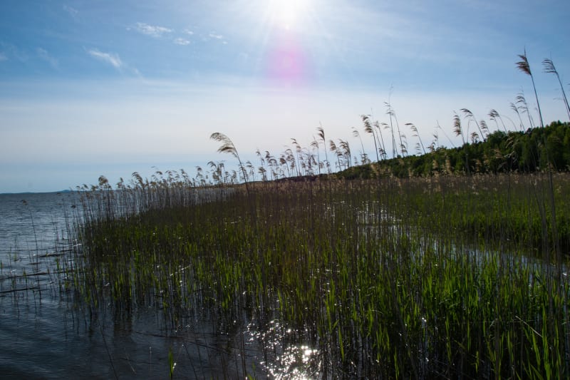 Jezioro Łebsko – trasa przez Słowiński Park Narodowy - Kluki