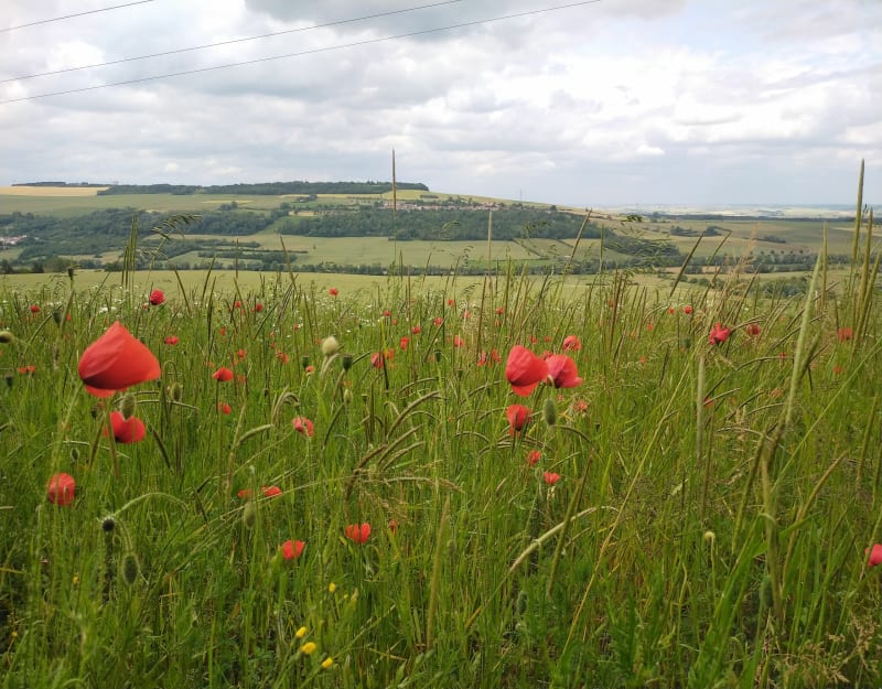Col de Millery par Autreville - Autreville-sur-Moselle