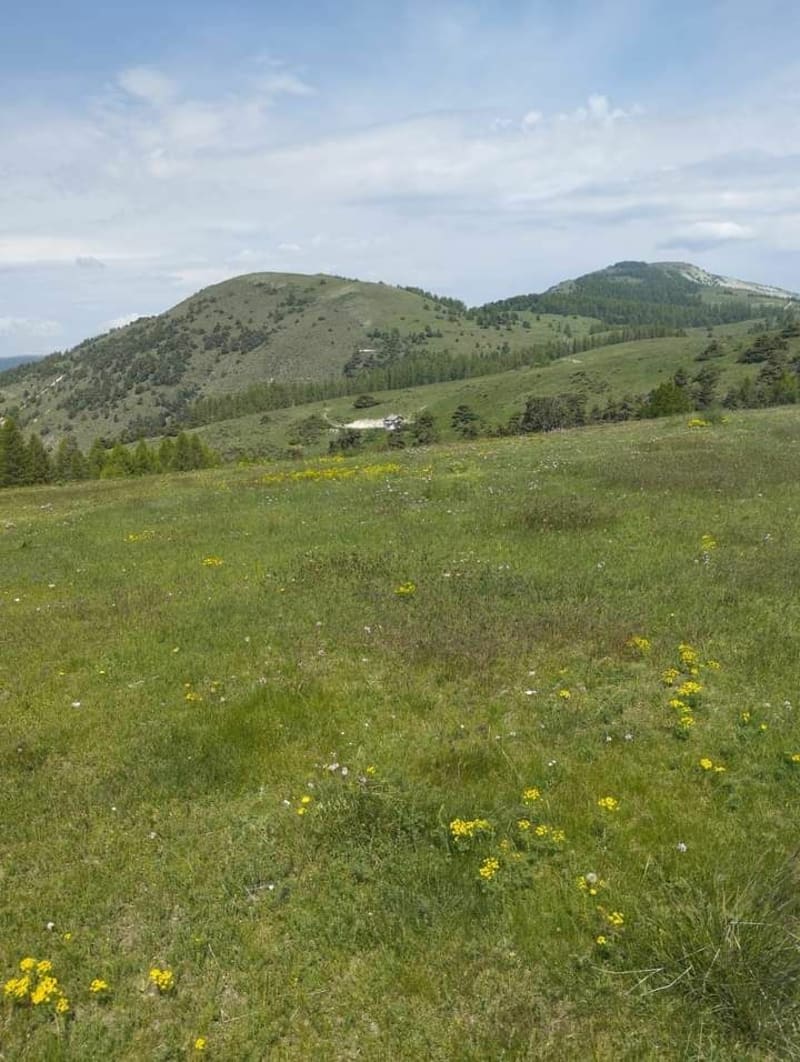 Colle Basse Annot - Annot