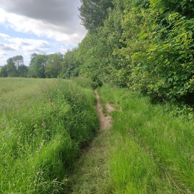 Boucle autour d'Arras - Arras