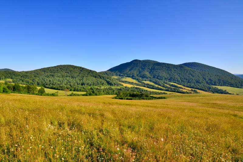 Wysokie w Beskidzie Niskim – odkryj panoramy i urokliwe trasy - Krempna