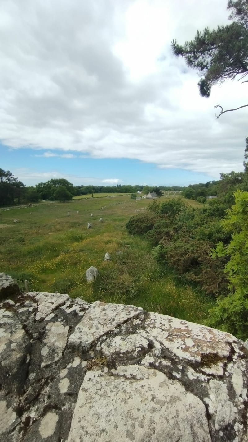 Centre de Carnac, forêt et menhirs - Carnac