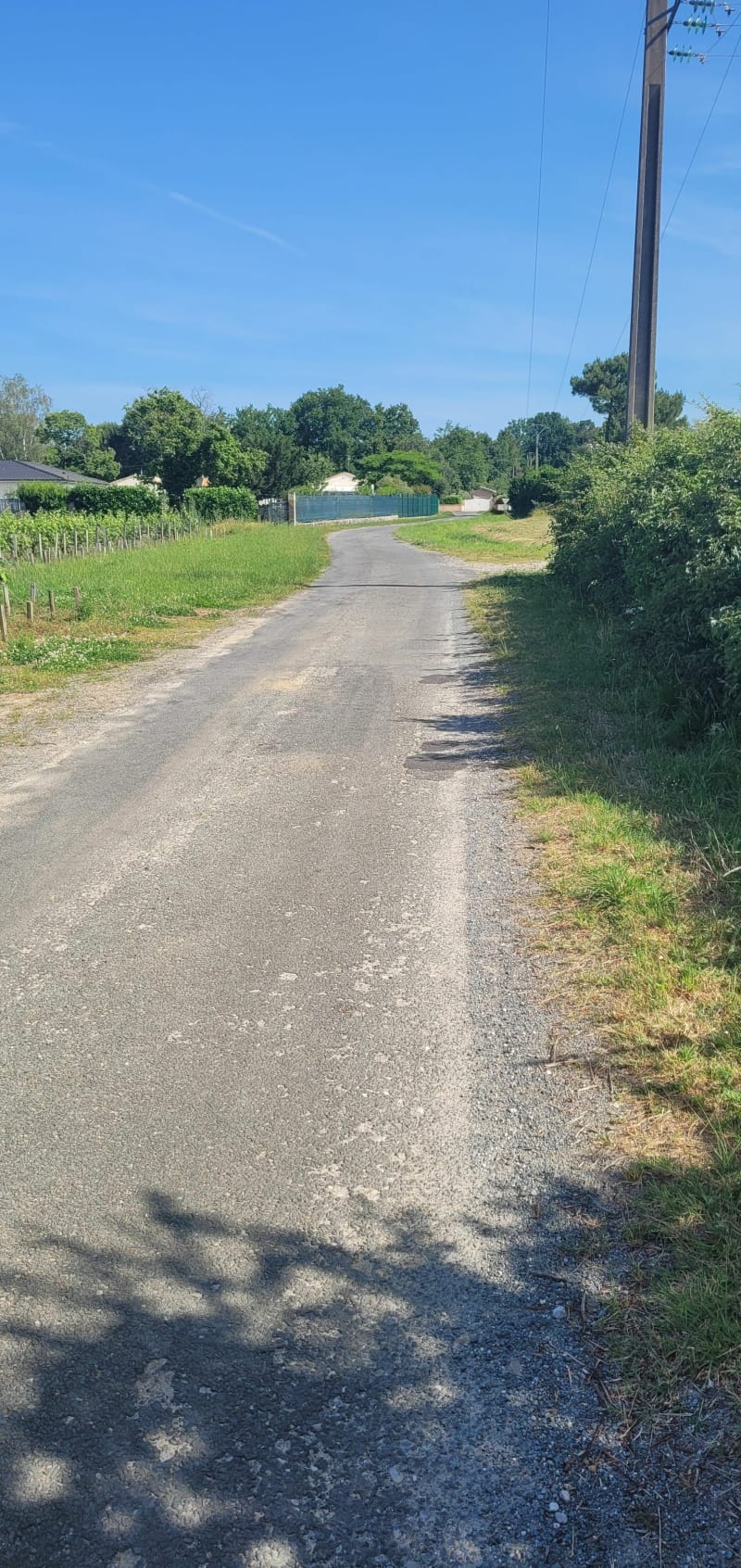 Petite balade à Cissac-Médoc - Cissac-Médoc