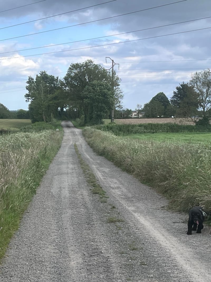 Campagne Saint Paul Mont Penit - Saint-Paul-Mont-Penit