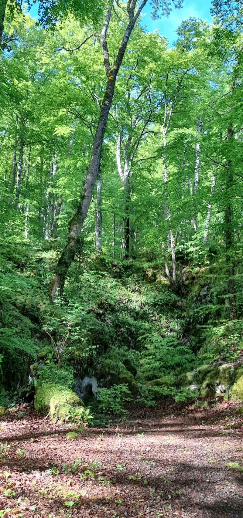 Pic du Tourroc - Sacoué