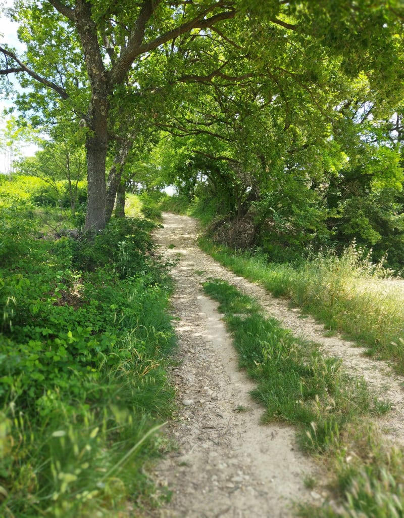 Dans les hauteurs de Cadenet - Cadenet