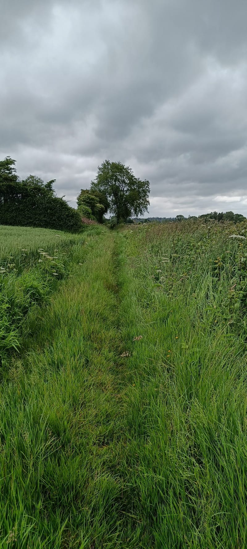 Chemin de Bernay et Marolles - Marolles