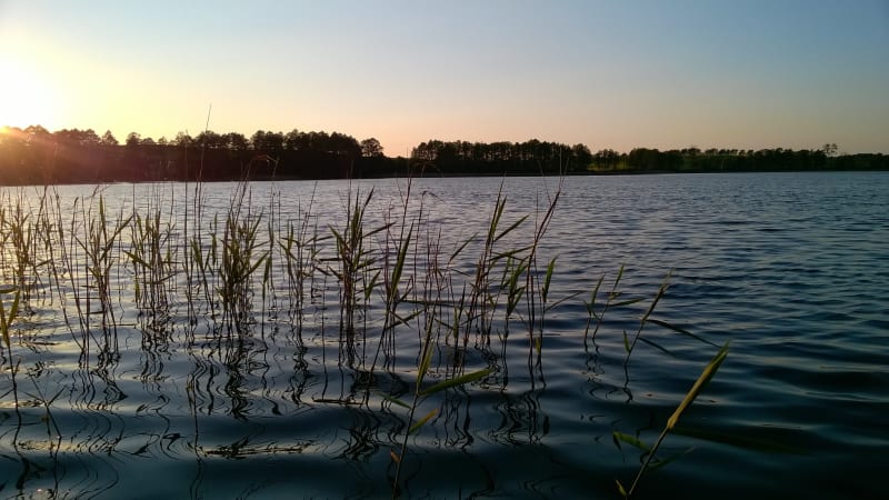 Jezioro Osowskie – spacer wzdłuż brzegów rynnowego jeziora - Gdańsk