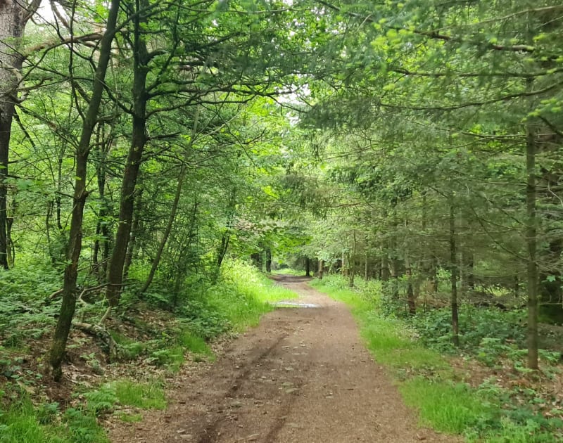 Aux abord de Malmont - Saint-Just-Malmont