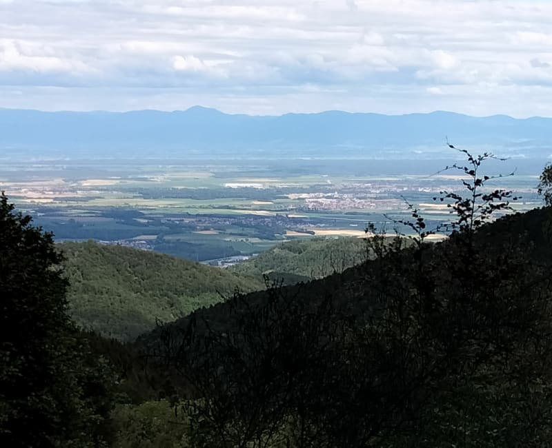 Randonnée entre Guebwiller et le lac du Ballon - Guebwiller