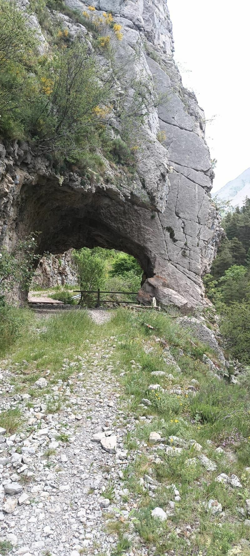 Col de la Cine dans les Alpes-de-Haute-Provence - Tartonne