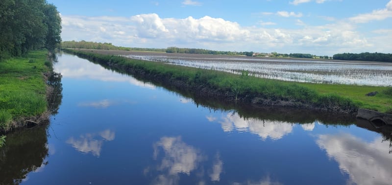 Boucle de Cissac au marais de Vertheuil - Cissac-Médoc