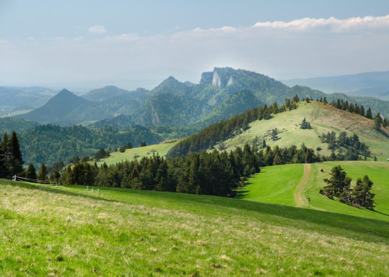 Trasa z Jaworek do schroniska pod Durbaszką – Małe Pieniny - Jaworki