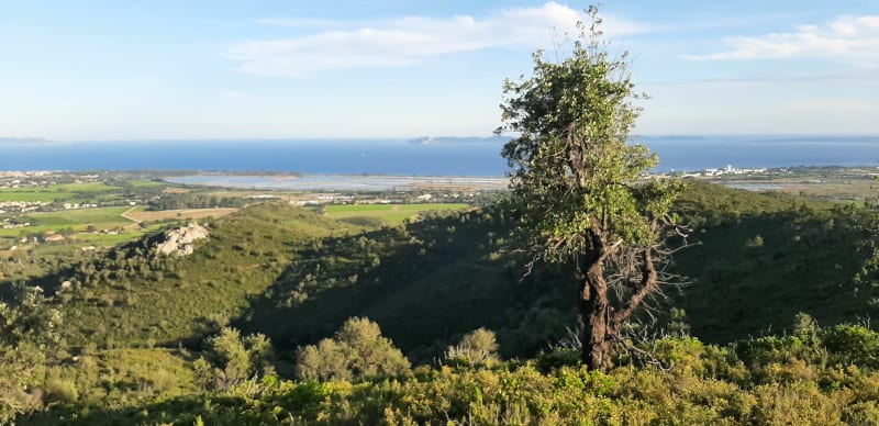L'apié et boucle au-dessus des vieux salins - Hyères