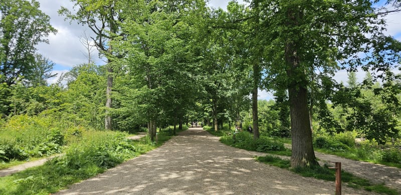 Étang godard - Saint-Leu-la-Forêt