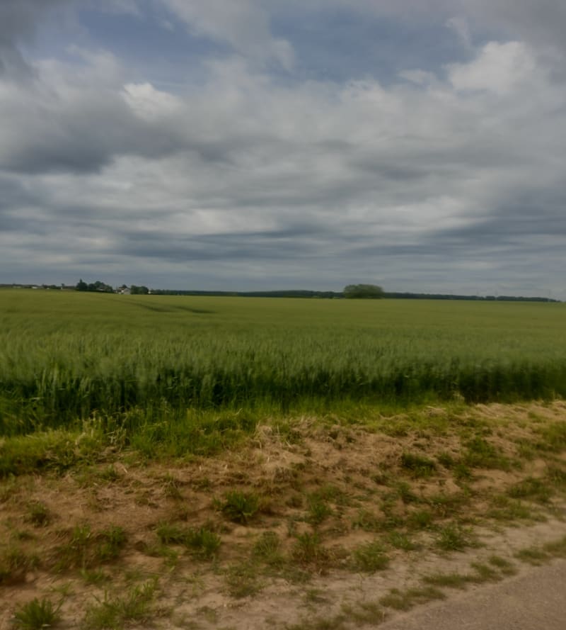 Balade champêtre entre Le Plessis-Belleville et Lagny-le-Sec - Le Plessis-Belleville