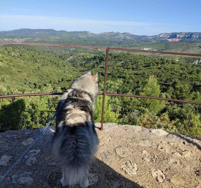 Parc de Pichauris - Allauch