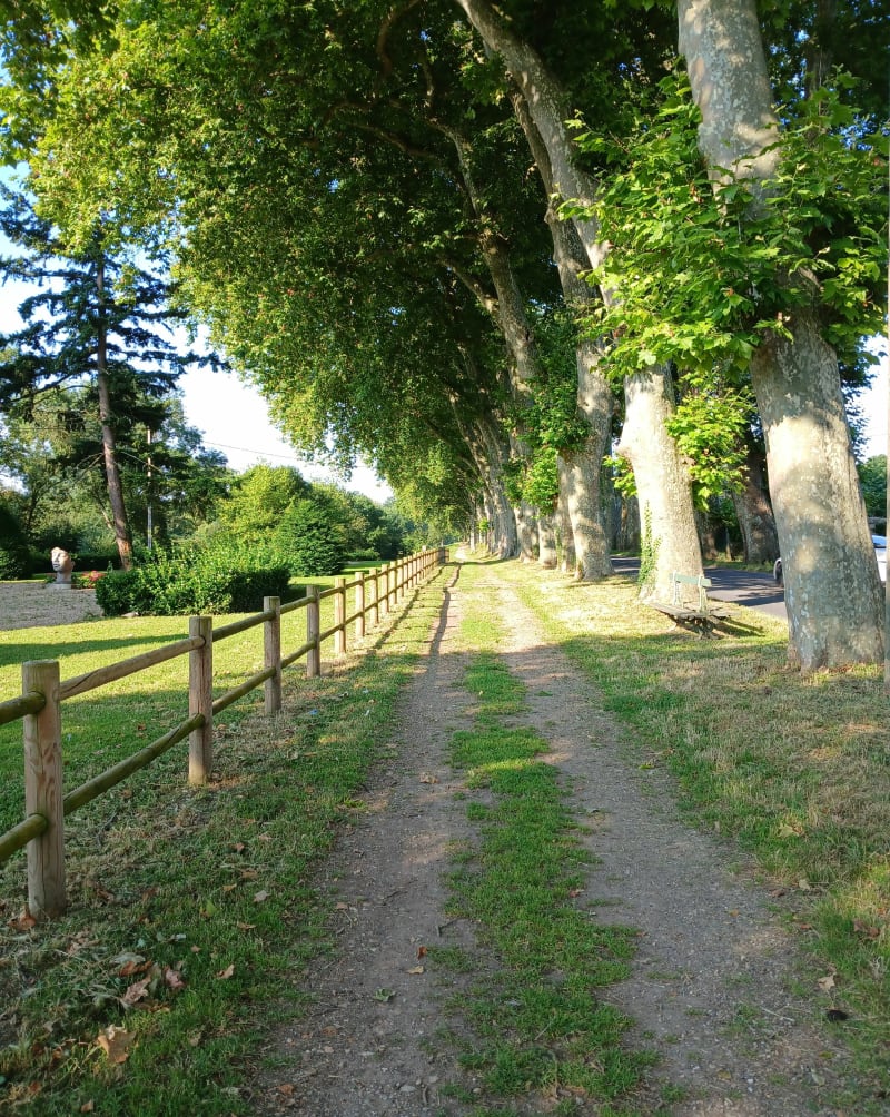 Voie bleue de Thoissey - Thoissey