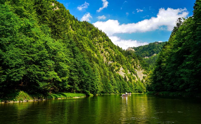 Pieniny: szlakiem zielonym na Sokolicę - Krościenko nad Dunajcem