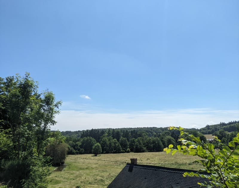 Forêt Freneuse sur Risle depuis Lover sur Authou - Livet-sur-Authou