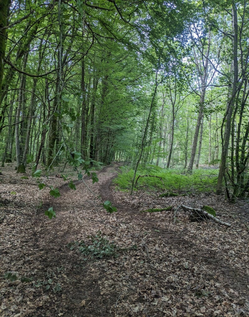 Balade à Preigney - Preigney
