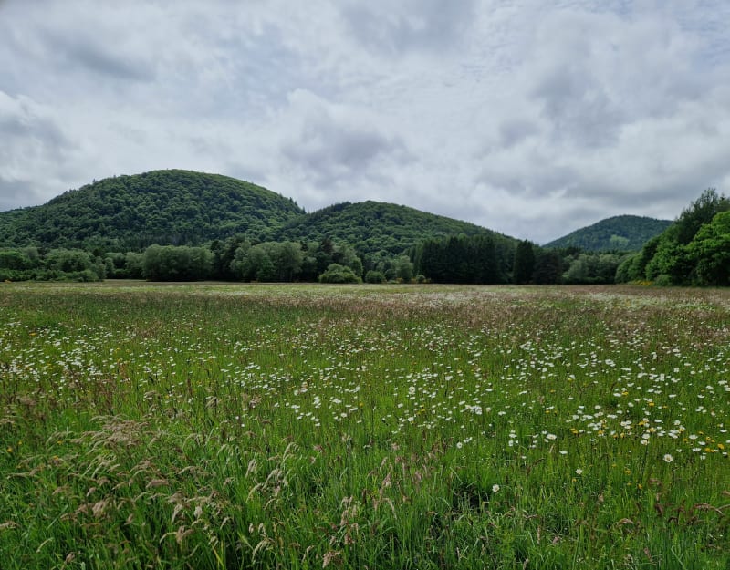 Autour de Chanat-la-Mouteyre - Chanat-la-Mouteyre