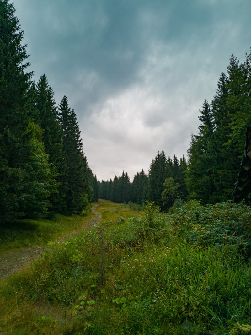 Trasa w Górach Sowich: Przełęcz Walimska — Wielka Sowa — Jelenia Polana - Modlęcin