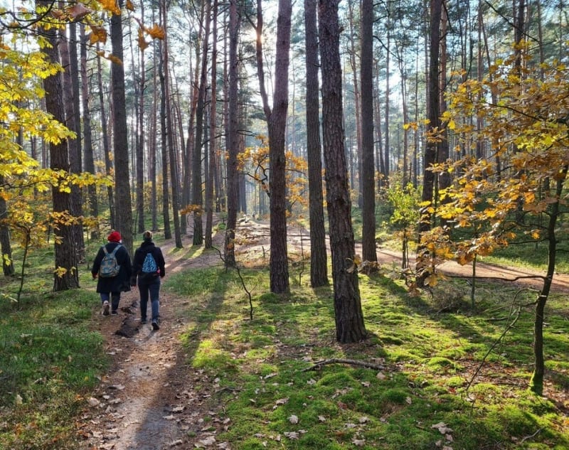 Kilkugodzinna trasa w Kampinoskim Parku Narodowym - Łubiec