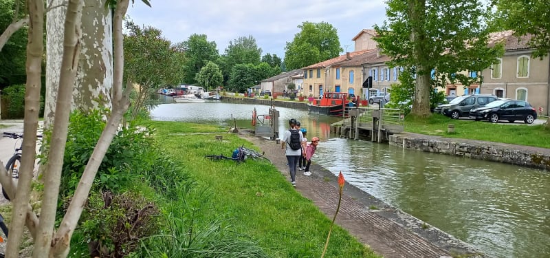Canal du midi de l'ecluse d'Ayguesvives à Gardouche - Ayguesvives