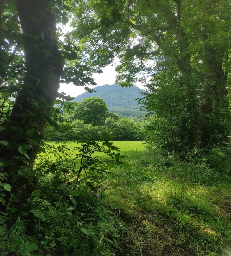 Petite balade autour du village de Montrodeix - Orcines