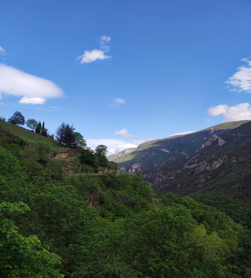 Découverte de la Réserve Naturelle de Nohèdes - Nohèdes