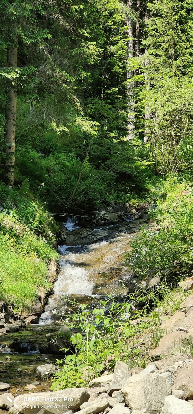Boucle de la Pesraz - Arâches-la-Frasse