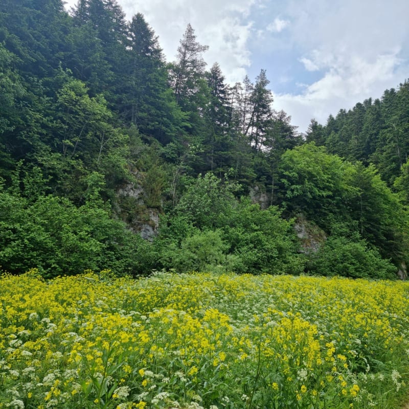 Gorges de la Frau vers le Pas de l'Ours en aller-retour - Montségur