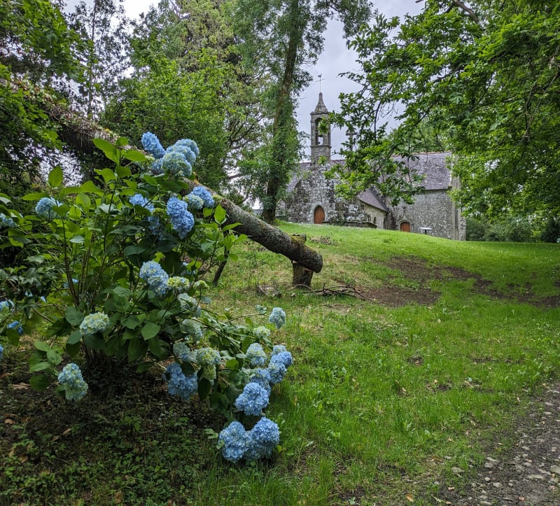 Dans les sous-bois de Lestonan - Ergué-Gabéric