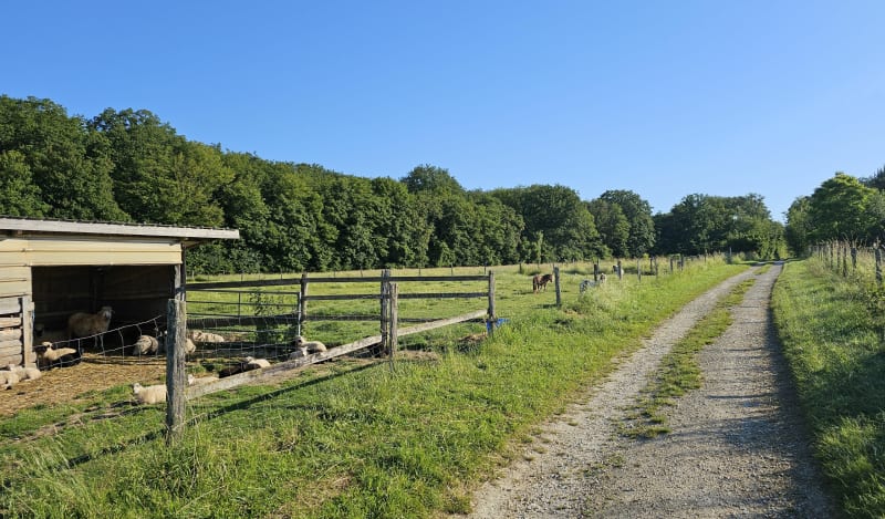 Rando 10 km au départ de Chambeire - Chambeire