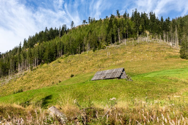 Dolina Lejowa: idealne miejsce na spacer w Tatrach - Kościelisko