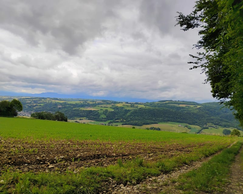 Montrevel chemin de Combe Lambert - Montrevel