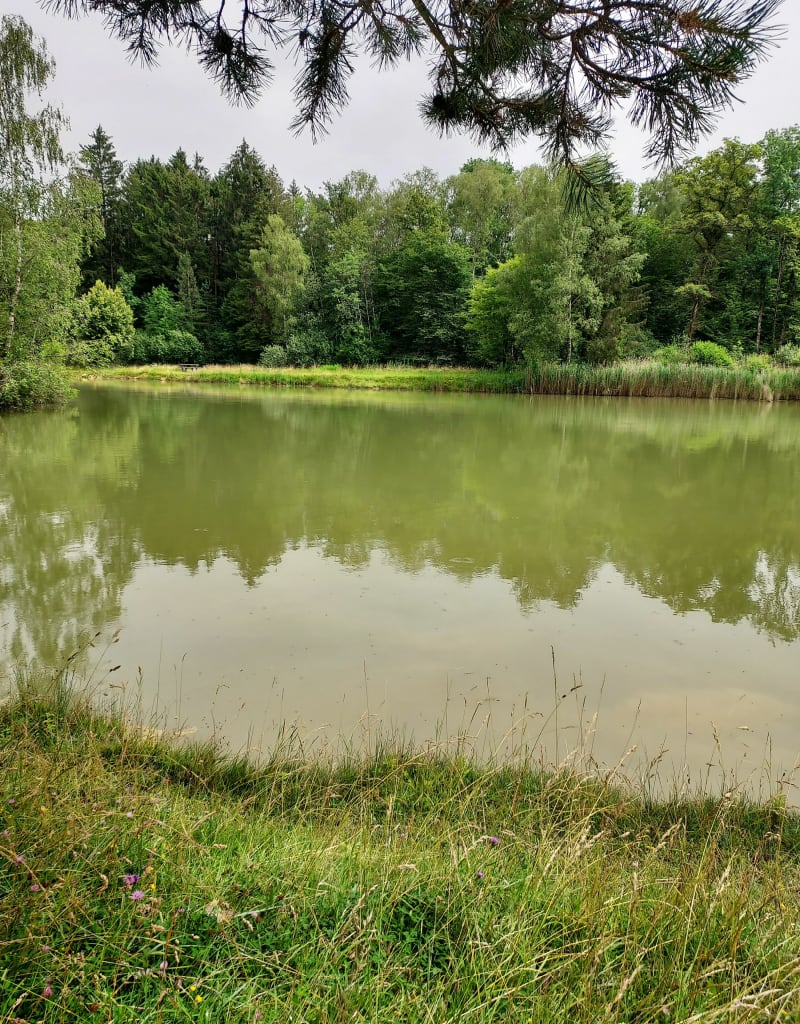 Etang de Combeaufontaine - Combeaufontaine