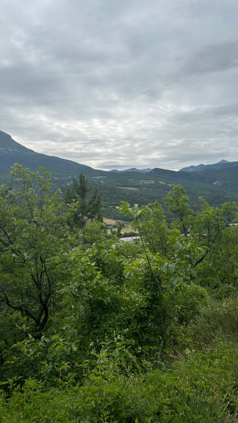 Sur les hauteurs de Mézel - Mezel