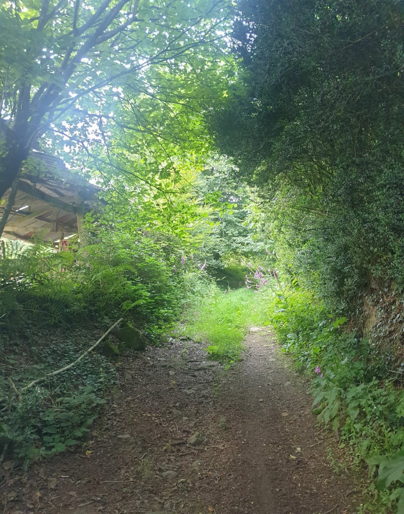 Randonnée autour de Saint Michel de Montjoie - Saint-Michel-de-Montjoie