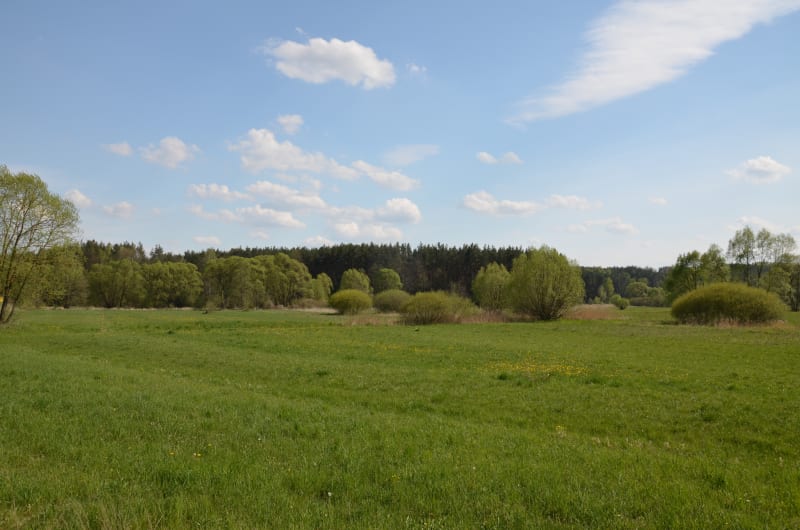 Wyrusz w Góry Świętokrzyskie z Łapigrosza. Urzekająca, łatwa trasa - Nowa Huta
