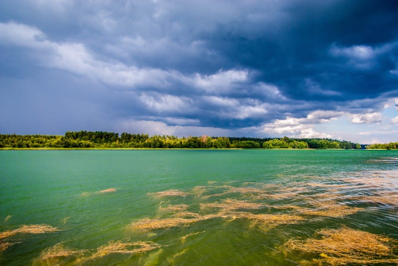 Jezioro Płaskie Augustów, czyli prawdziwy cud natury na Suwalszczyźnie - Rygol