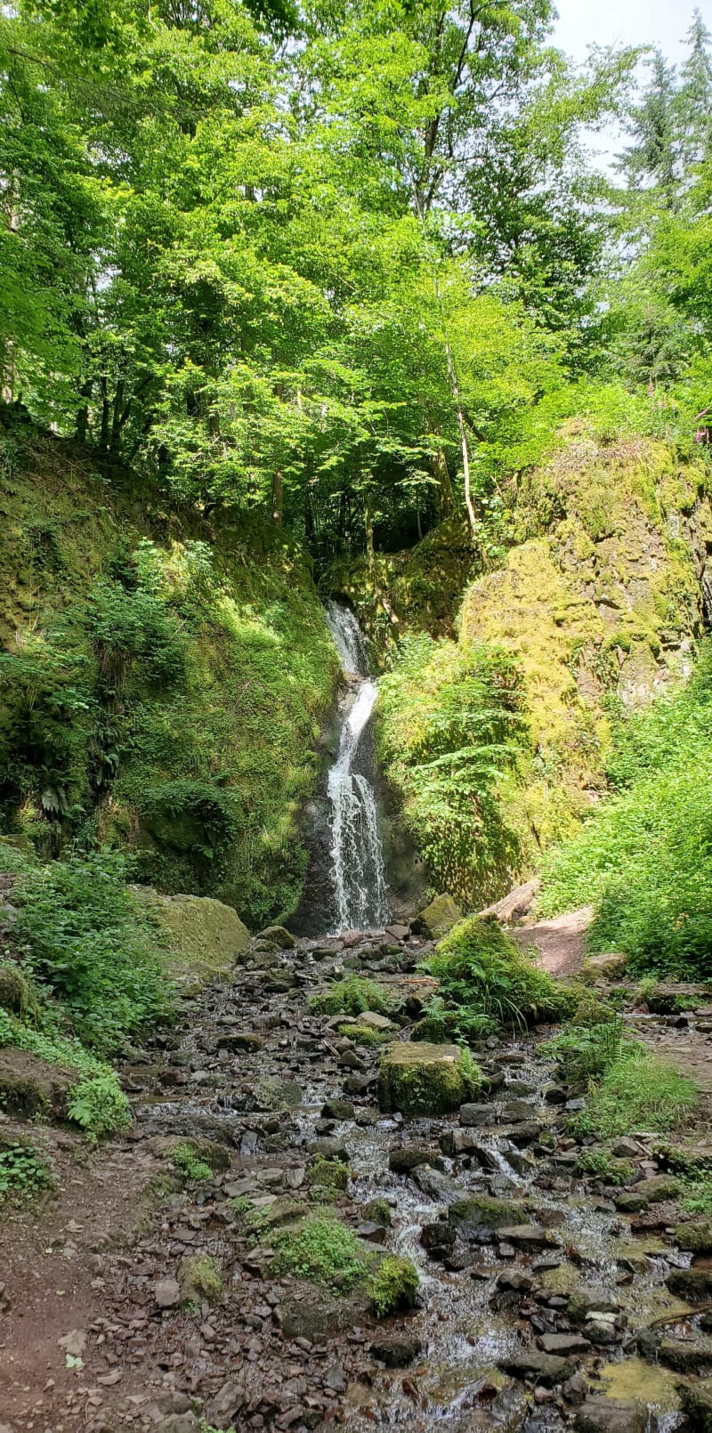 Boucle à partir d'Oberhaslach par la Porte de Pierre - Oberhaslach