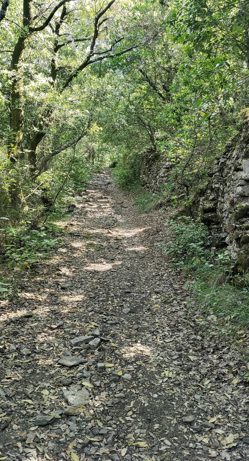 Dolmens de Grande Pallières et les Capelans - Anduze