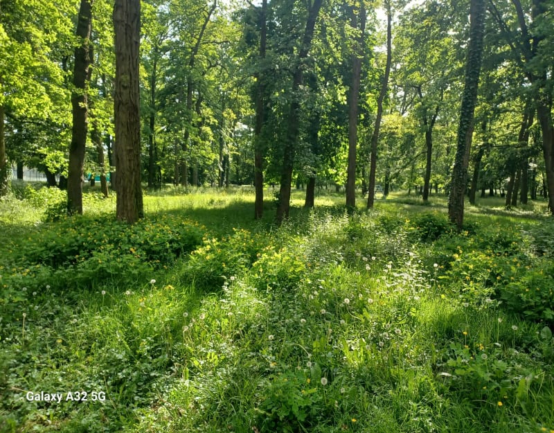 Balade antre Soissons et Margival - Crouy