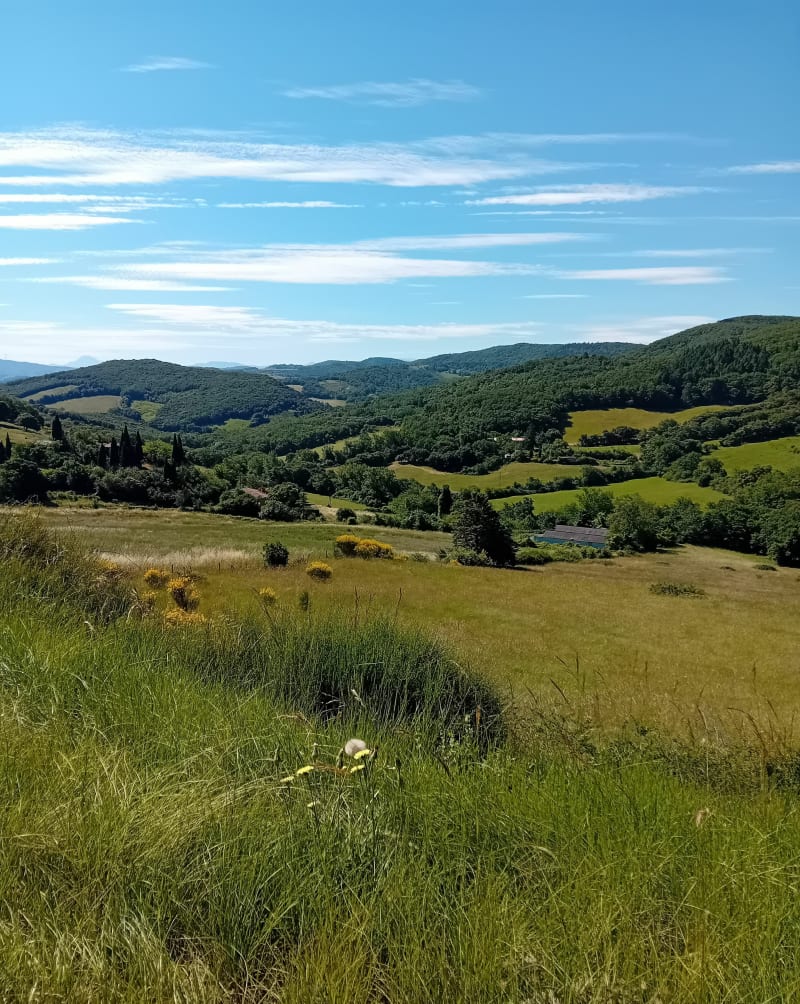 Bellegarde en passant par le col de la Flotte. - Camon