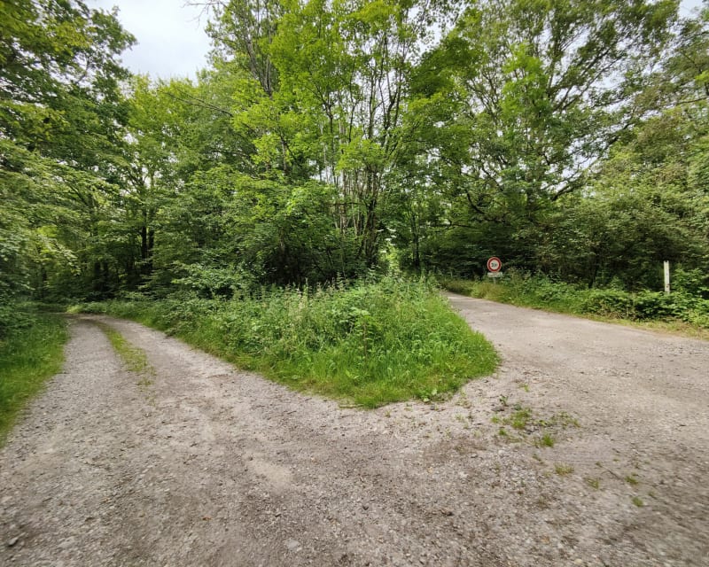 Plateau de Saint Bernard Piblange - Piblange