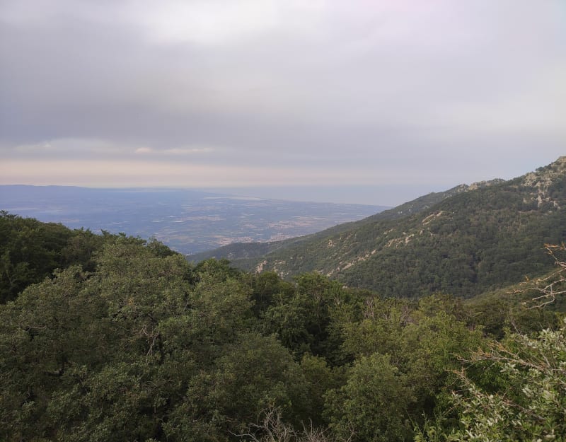 De Perthus au col de l'Ouillat en aller-retour - Le Perthus