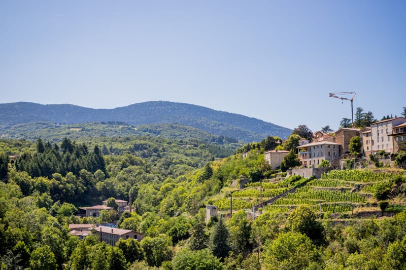 Les balcons du Rhône - Pélussin