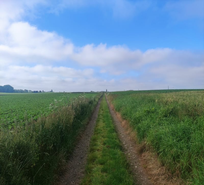 Chemin des postes depuis Marly - Marly